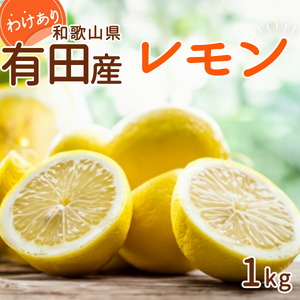 [2024年 先行予約]和歌山県 有田産 国産レモン 1kg 訳あり