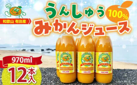 ZJ6061_a̎RLcY100% 񂵂イ݂W[X 970ml × 12{Zbg