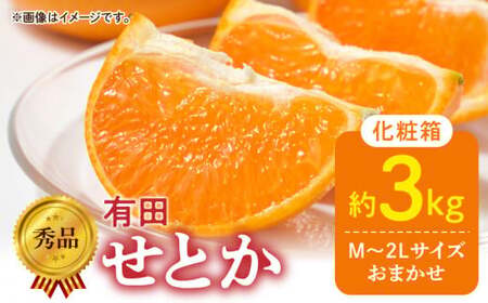 DZ6206_Gi@Ƃ a̎R@Lc ϔ M`2LTCY 傫C 3kg