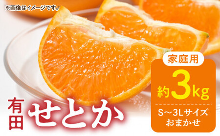 DZ6207_ƒp Ƃ a̎R Lc S`3LTCY 傫C 3kg