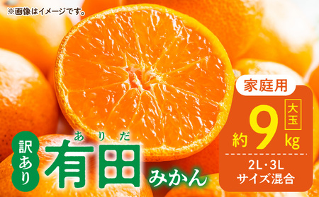 DZ6217_ƒp@Lc݂ (2L,3LTCY) 9kg