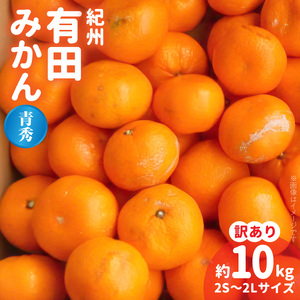 紀州 有田みかん 約10kg 2S〜2Lサイズいずれか[訳あり 家庭用][青秀・良]