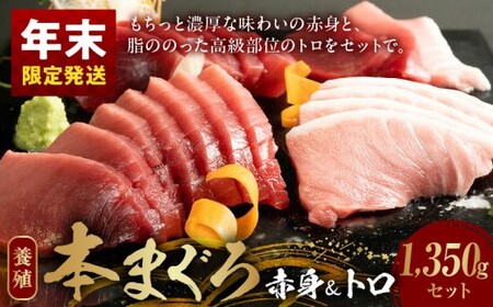 AZ6020_nm_yN蔭z{}O ({B) Ԑgg Zbg 1350g