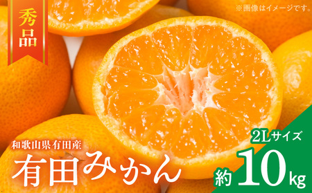 ZD7016_yGiz a̎R Lc݂ 10kg (2LTCYEGij