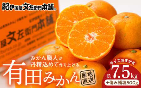 有田みかん約7.5kg(+傷み補填分500g)=合計8kg[サイズおまかせ] / 産地直送 / 紀伊国屋文左衛門本舗(お届け日指定不可)