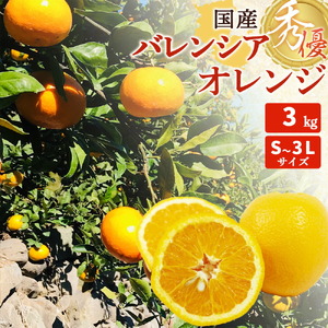 国産 バレンシアオレンジ 秀優 3kg S〜3Lサイズ