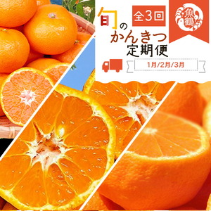 G60-T43_[定期便 全3回]紀州和歌山産 旬の柑橘セット(みかん・ポンカン・紀州デコ)