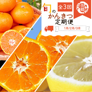 G60-T42_[定期便 全3回]紀州和歌山産旬の柑橘セット(みかん・ポンカン・レモン)