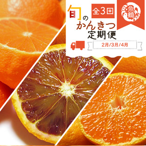 G60-T46_[定期便 全3回]紀州和歌山産旬の柑橘セット(不知火・せとか・ブラッドオレンジ)