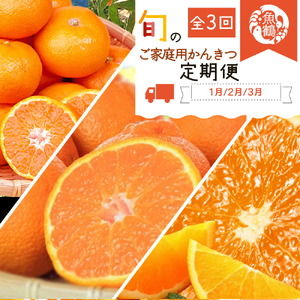 G60-T79_y S3zIBa̎RY{̂ƒpkZbgi݂Esm΁Ej