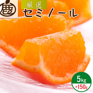 [4月より発送]厳選セミノールオレンジ5kg+150g(傷み補償分)(春みかん)(有田産)(光センサー食べ頃出荷)