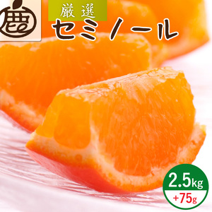 [4月より発送]厳選 セミノールオレンジ2.5kg+75g(傷み補償分)(有田産)(光センサー選別)