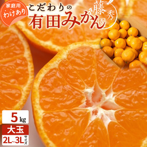 こだわりの 有田みかん 大玉 5kg (2L〜3Lサイズ)[訳あり 家庭用]