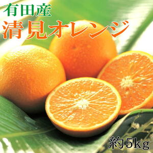 [濃厚]有田産清見オレンジ約5kg(サイズおまかせ・青秀以上)