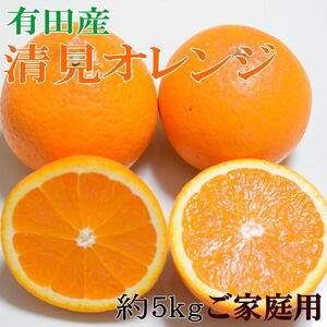[ご家庭用]濃厚有田産清見オレンジ約5kg(サイズおまかせ)