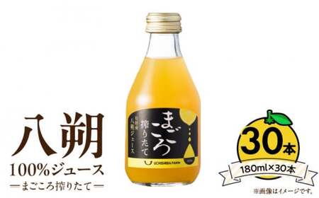 ZE6456_y܂肽āz 100%W[X 180ml × 30{