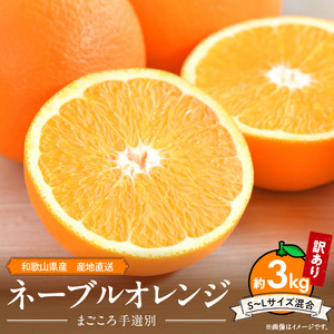 和歌山県産 ネーブルオレンジ [訳あり 家庭用]3kg サイズ混合[まごころ手選別]