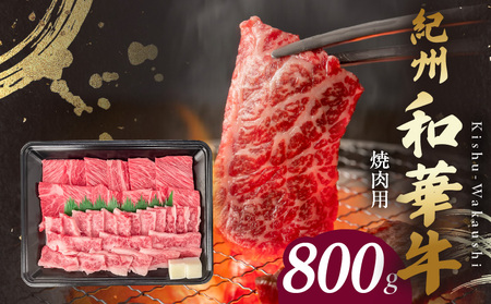 BN6130_IBa؋@[XEo@ēp@800g