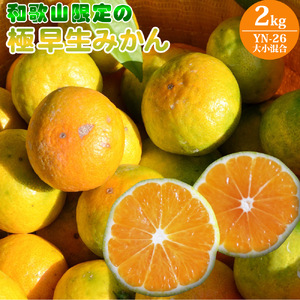 和歌山県限定の極早生みかん 2kg (YN-26 大小混合)