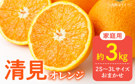 [2026年先行予約]訳あり 家庭用 きよみ 清美オレンジ 和歌山 有田 2S〜3Lサイズ混合 3kg