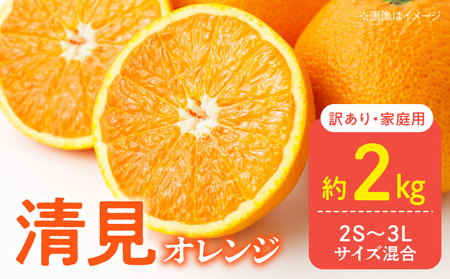 DZ6227_y2026Ns\z󂠂 ƒp  IW a̎R Lc 2S`3LTCY 2kg