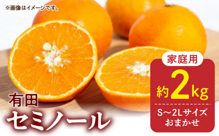[2026年先行予約]ご家庭用 セミノール 和歌山 有田 S〜2Lサイズ 大きさお任せ 約2kg
