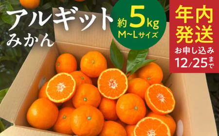 YA1003_n AMbg ݂ 5kg M`L TCY