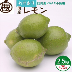 [9月より発送]家庭用 黒潮レモン2.5kg+75g(傷み補償分)[和歌山有田産][防腐剤・WAX不使用、安心の国産レモン][訳ありレモン]