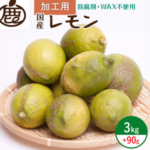 [9月より発送]加工用 黒潮レモン3kg+90g(傷み補償分)[和歌山有田産][防腐剤・WAX不使用、安心の国産レモン][訳ありレモン][果汁用]