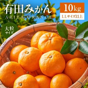 AU6106n_自信作 有田みかん 10kg 大玉 LLサイズ以上 [2024年10月発送]