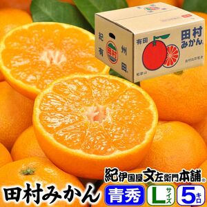 田村みかん/5kg青秀[Lサイズ]