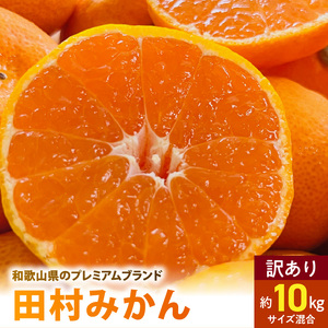 AB7300_ ƒp c݂ TCY 10kg 킯 󂠂 s a̎Rv~Auh݂     ~J t[c ʕ