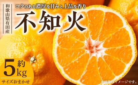 V7412_fR sm 5kg a̎RLcY t݂ (ʎTCY܂) t݂ Iɍq{