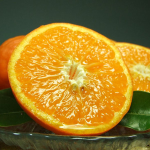 V7078_�Z�~�m�[���I�����W ��5kg ���󒬓c���Y �t�݂��� �i�ʎ��T�C�Y���܂����j/ �I�ɍ��������q��{��