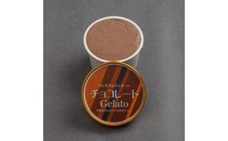 プレミアムジェラート チョコレート 100ml×12個