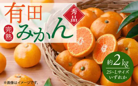 G7343_Gi Lc݂ 2kg 2S`LTCŶꂩ