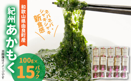 BB6231_IBmRǒYn100g×15pbNi2025NYj