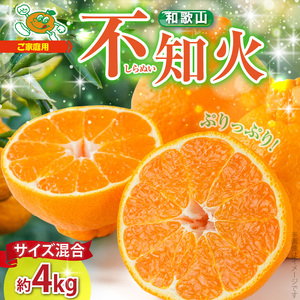 [2026年先行予約]不知火(しらぬい) オレンジ みかん 家庭用 4kg