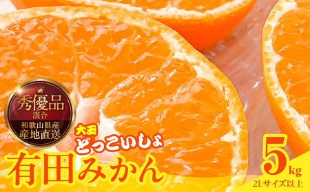 [2025年先行予約]みかん 大玉 どっこいしょ 箱込 5kg ( 内容量 4.4kg ) 2Lサイズ以上 秀品 優品 混合 有田みかん 和歌山県産 産地直送 [みかんの会]