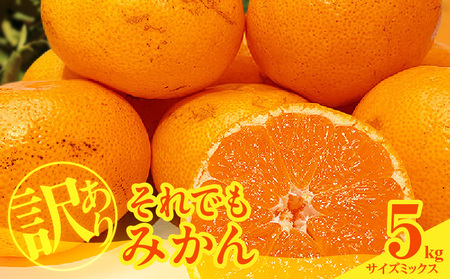 MK1035_y2025Ns\z󂠂 ł ݂  5kg ( e 4.4kg ) TCY~bNX ai Lc݂ a̎RY Yn ƒpỷ݂z