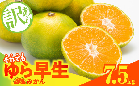[2025年先行予約]訳ありゆら早生 みかん 箱込 7.5kg ( 内容量 6.8kg ) サイズミックス 有田みかん 和歌山県産