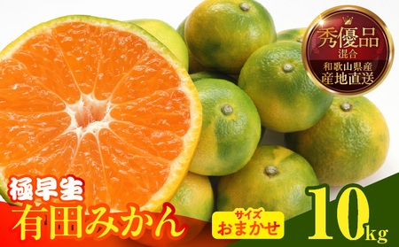 [2025年先行予約]みかん 極早生 箱込10kg(内容量9.2kg)おまかせサイズ(S/M/L)秀品・優品 の混合 有田みかん 和歌山県産