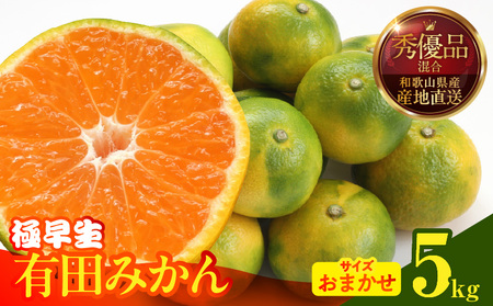 [2025年先行予約]みかん 極早生 箱込 5kg ( 内容量4.4kg ) おまかせサイズ(S/M/L)秀品・優品 の混合 有田みかん 和歌山県産