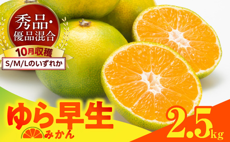 [2025年先行予約]ゆら早生 みかん 箱込 2.5kg ( 内容量 2.3kg ) S M Lサイズのいずれか 秀品 優品 混合 有田みかん 和歌山県産