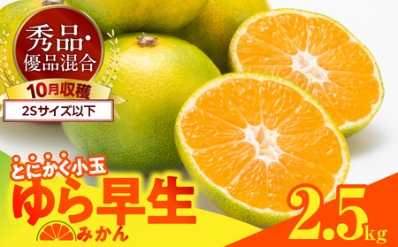 [2025年先行予約]ゆら早生 みかん とにかく小玉 箱込 2.5kg ( 内容量2.3kg ) 2Sサイズ以下 秀優混合 有田みかん 和歌山県産
