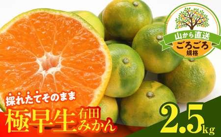 [2025年先行予約]みかん 極早生 山から直送 箱込 2.5kg ( 内容量 2.3kg ) 採れたてそのままごろごろ規格 有田みかん 和歌山県産