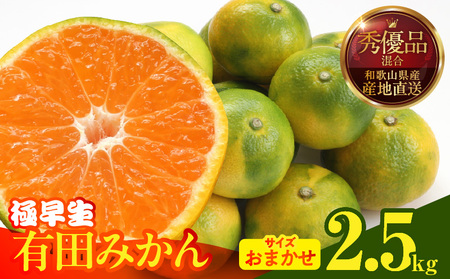 [2025年先行予約]みかん 極早生 箱込 2.5kg ( 内容量2.3kg ) おまかせサイズ(S/M/L)秀品・優品 の混合 有田みかん 和歌山県産