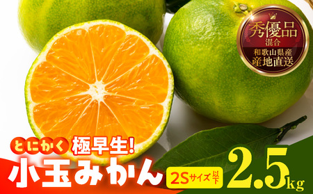 [2025年先行予約]とにかく小玉 みかん 極早生 箱込 2.5kg ( 内容量 2.3kg ) 2Sサイズ以下 秀品 優品 混合 有田みかん 和歌山県産