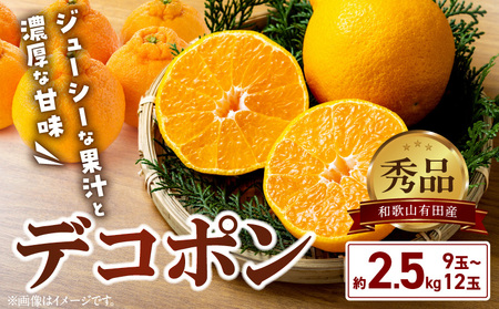 [2026年先行予約]和歌山有田産 デコポン秀品のみ! 2.5kg(9〜12玉)