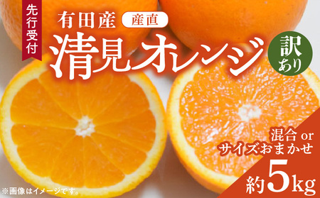 ZD92071_[2026年先行予約][産直]有田産清見オレンジ 約5kg(訳あり家庭用サイズおまかせまたは混合)
